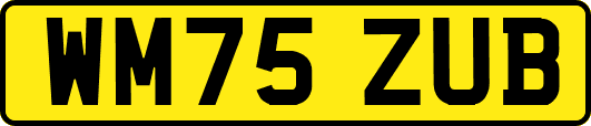 WM75ZUB