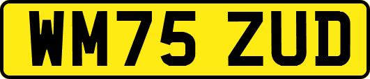 WM75ZUD