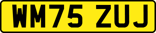 WM75ZUJ