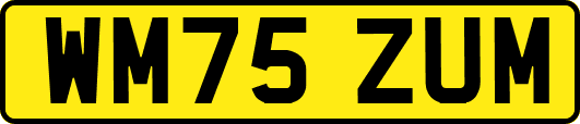 WM75ZUM