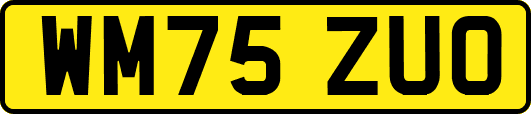 WM75ZUO