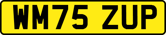 WM75ZUP