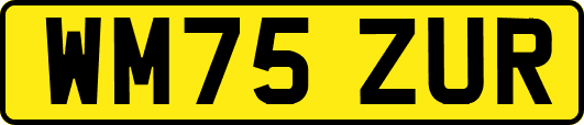 WM75ZUR