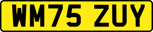 WM75ZUY