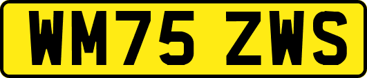 WM75ZWS