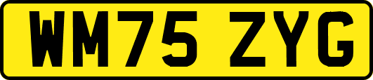 WM75ZYG