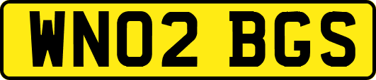 WN02BGS