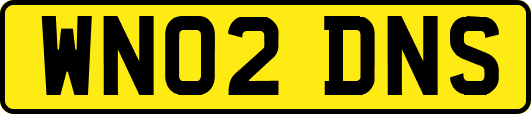 WN02DNS