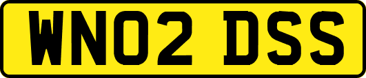 WN02DSS