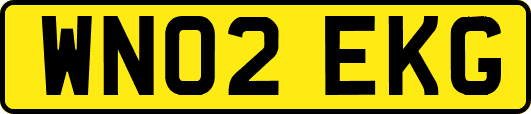 WN02EKG
