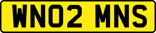 WN02MNS
