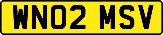 WN02MSV