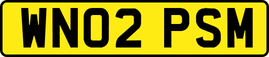 WN02PSM
