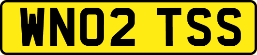 WN02TSS