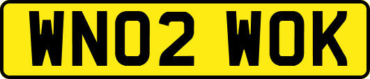 WN02WOK