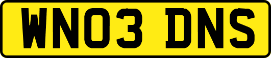 WN03DNS