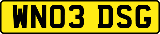 WN03DSG