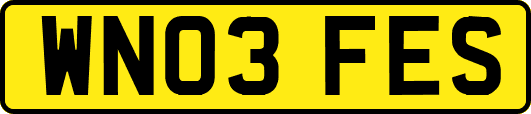 WN03FES