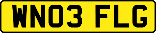 WN03FLG