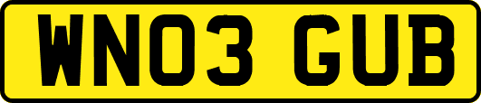 WN03GUB
