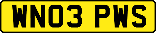 WN03PWS