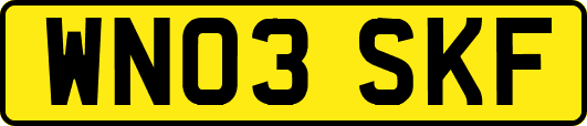 WN03SKF