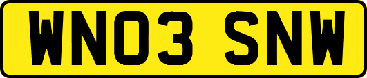 WN03SNW