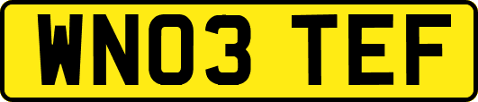 WN03TEF