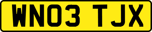WN03TJX