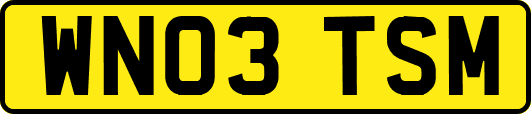 WN03TSM