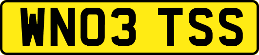 WN03TSS
