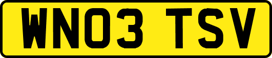 WN03TSV