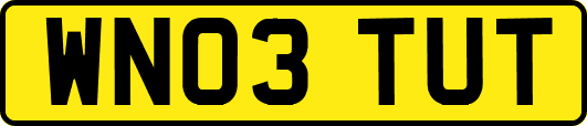 WN03TUT
