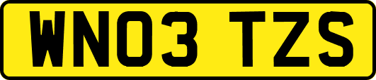 WN03TZS