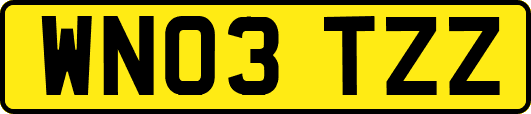 WN03TZZ