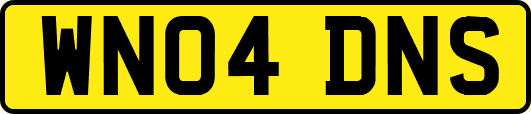 WN04DNS