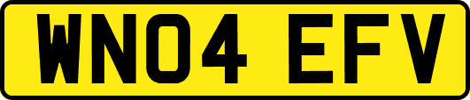 WN04EFV