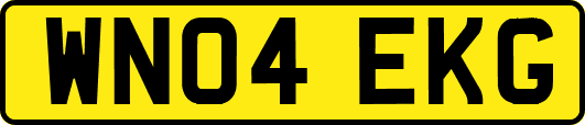 WN04EKG