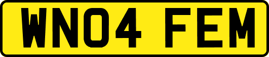 WN04FEM