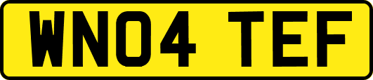 WN04TEF