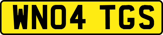 WN04TGS