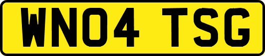 WN04TSG