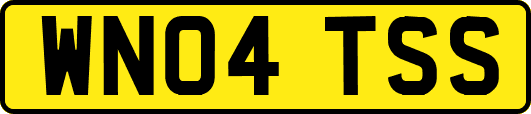 WN04TSS