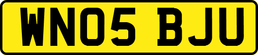 WN05BJU