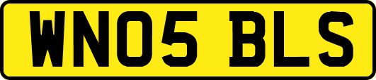 WN05BLS