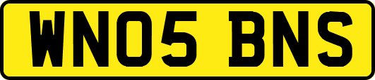 WN05BNS
