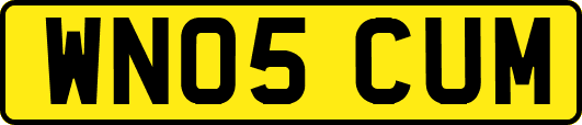 WN05CUM