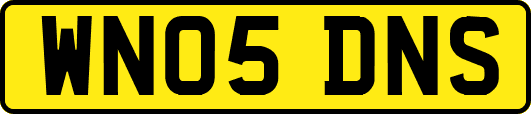WN05DNS