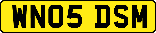 WN05DSM