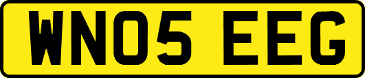 WN05EEG